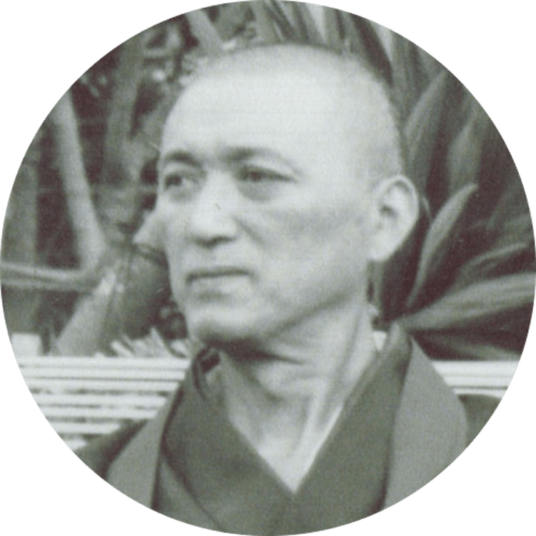 禅のはたらき　正法眼蔵全機・都機を語る　武井哲応 禅のはたらき 正法眼蔵全機・都機を語る 武井哲応
